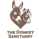 donkey-sanctuary